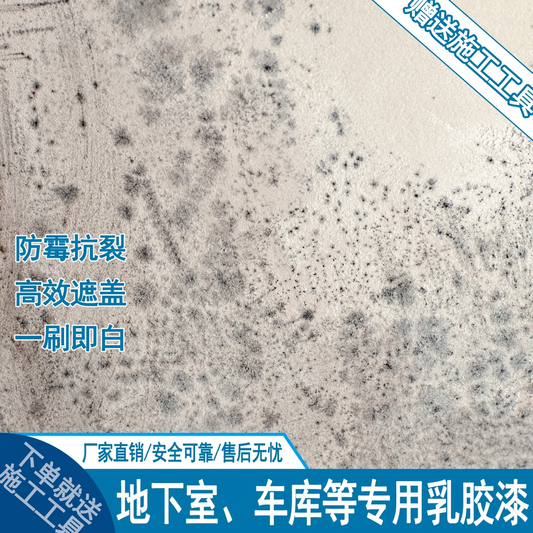 超防霉】车库地下室专用乳胶漆0甲醛一刷即白超防霉厂家直销无异味