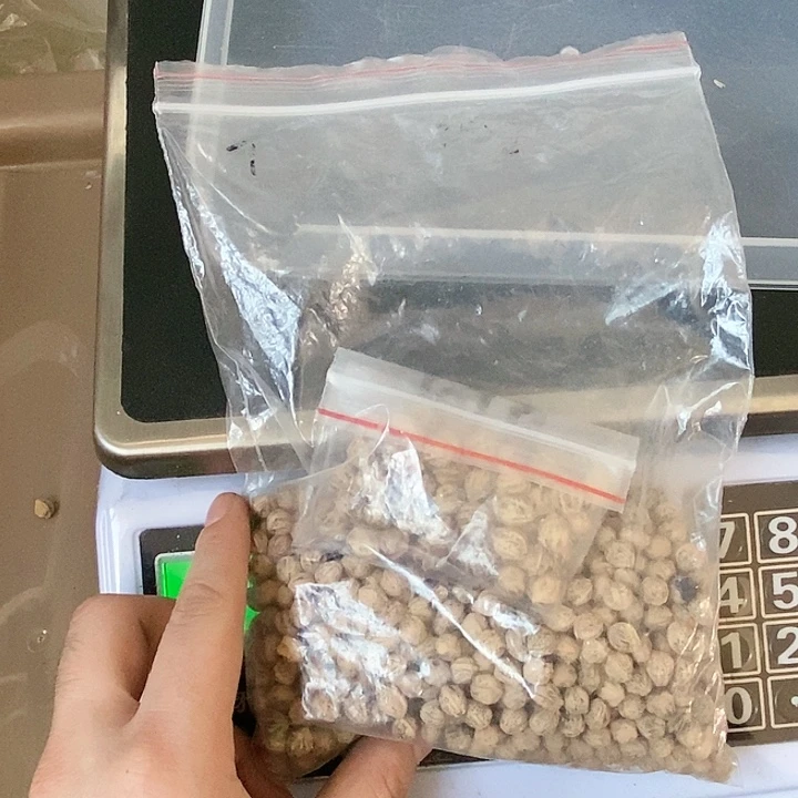 柏香籽/百香籽吊坠