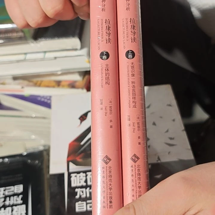 拉康导读两本精装塑封全新库存书