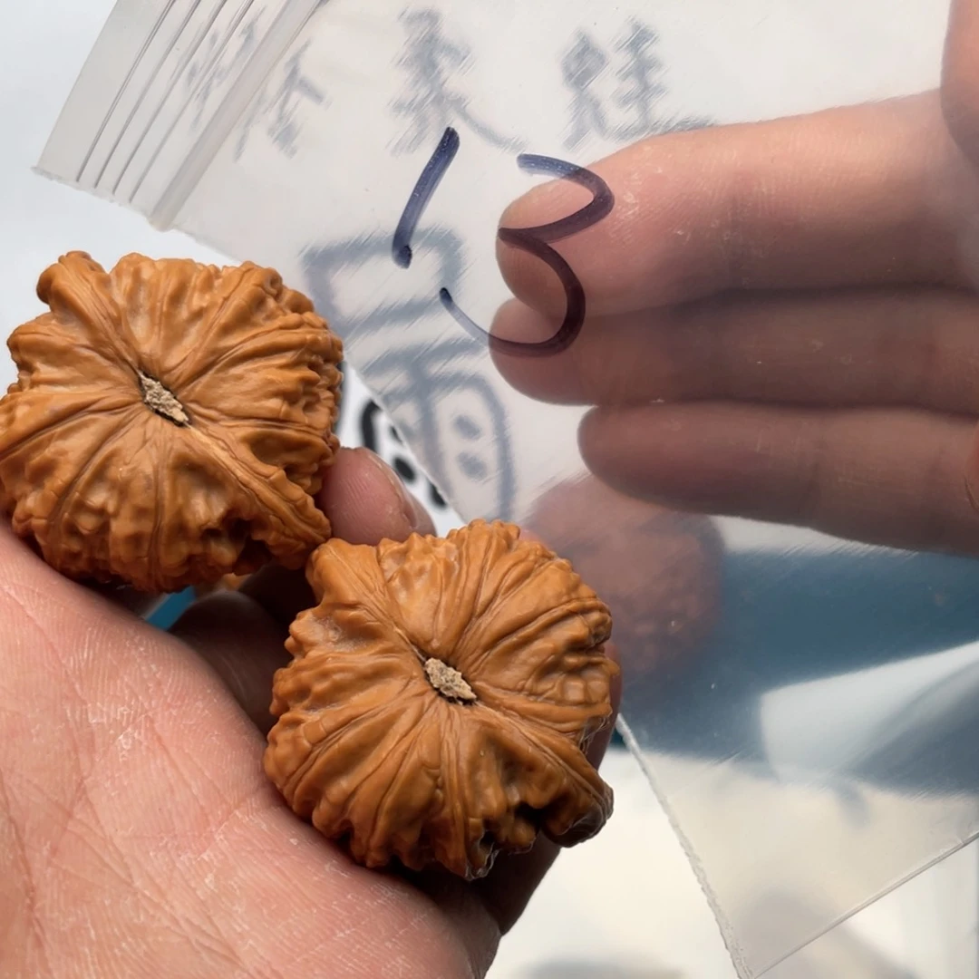 核桃手串/手链W684648468864863