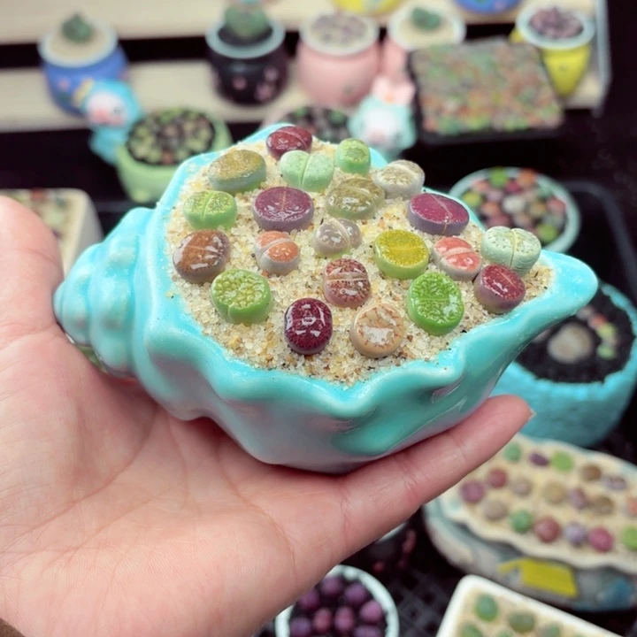 886零下地区记拍保温箱