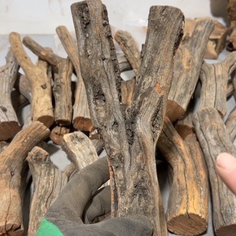 大果紫檀(缅甸花梨)凉
