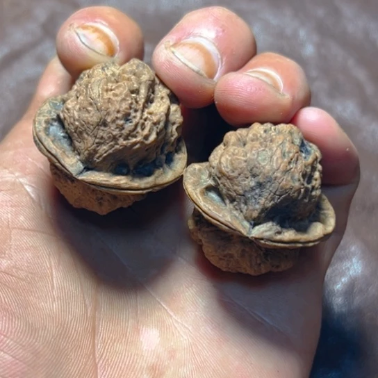 文玩核桃把件36号官帽蟾卡35