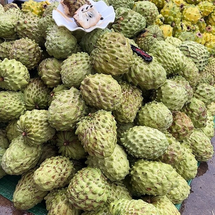 中国大陆释迦果5斤