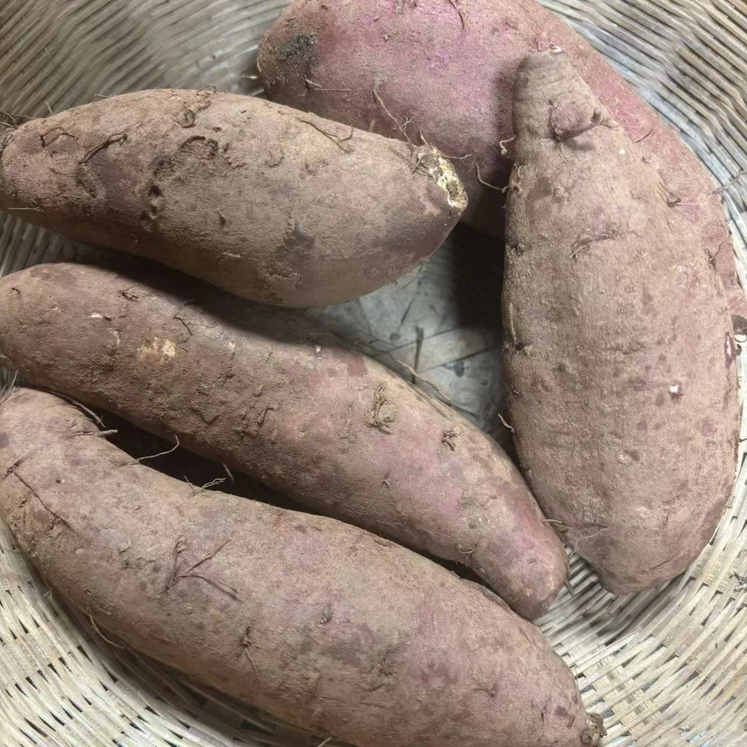现挖现发（台湾蜜薯）