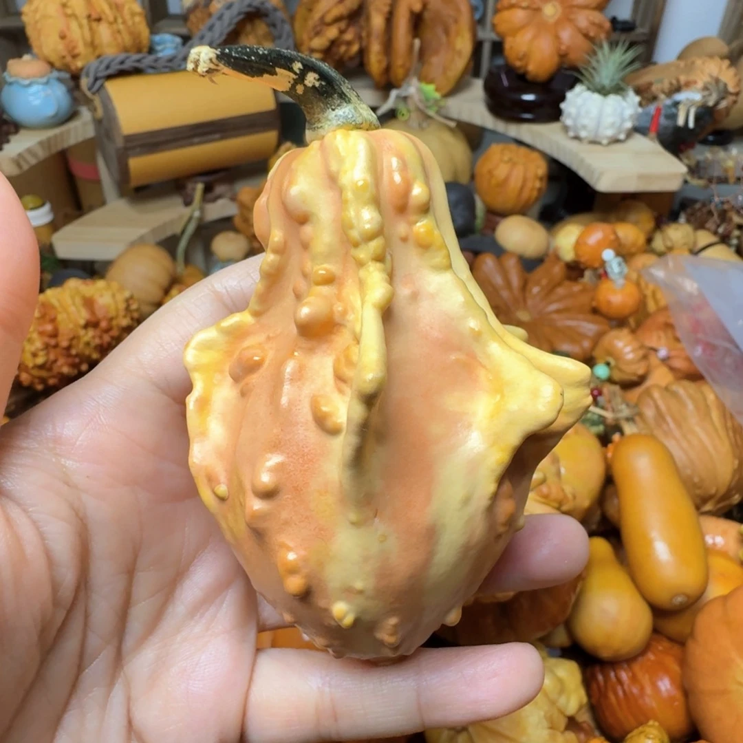 詹*贝特价葫芦不退不换