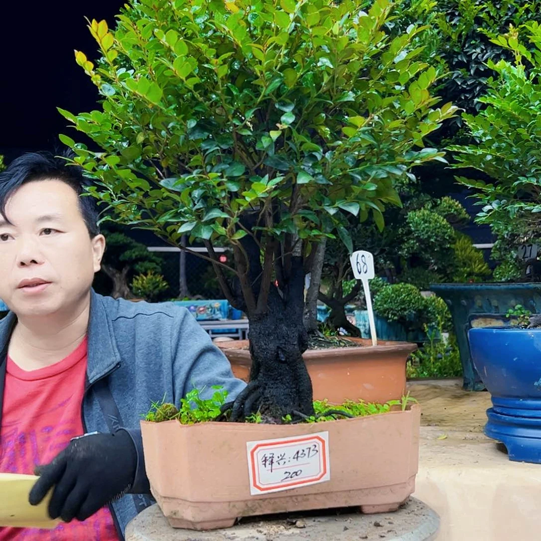 以实际为准释*悟13345678