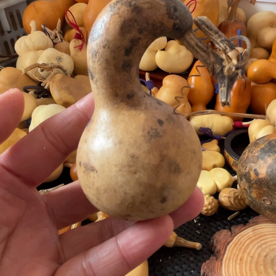 l***n葫芦哈哈哈哈哈哈哈哈