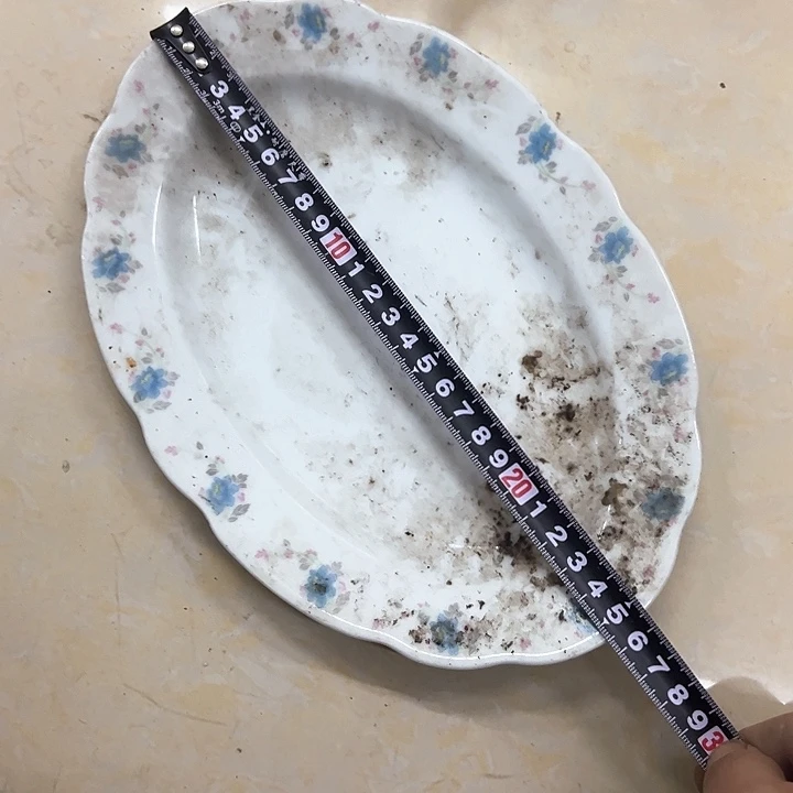 其他25厘米小兰花鱼盘景德镇