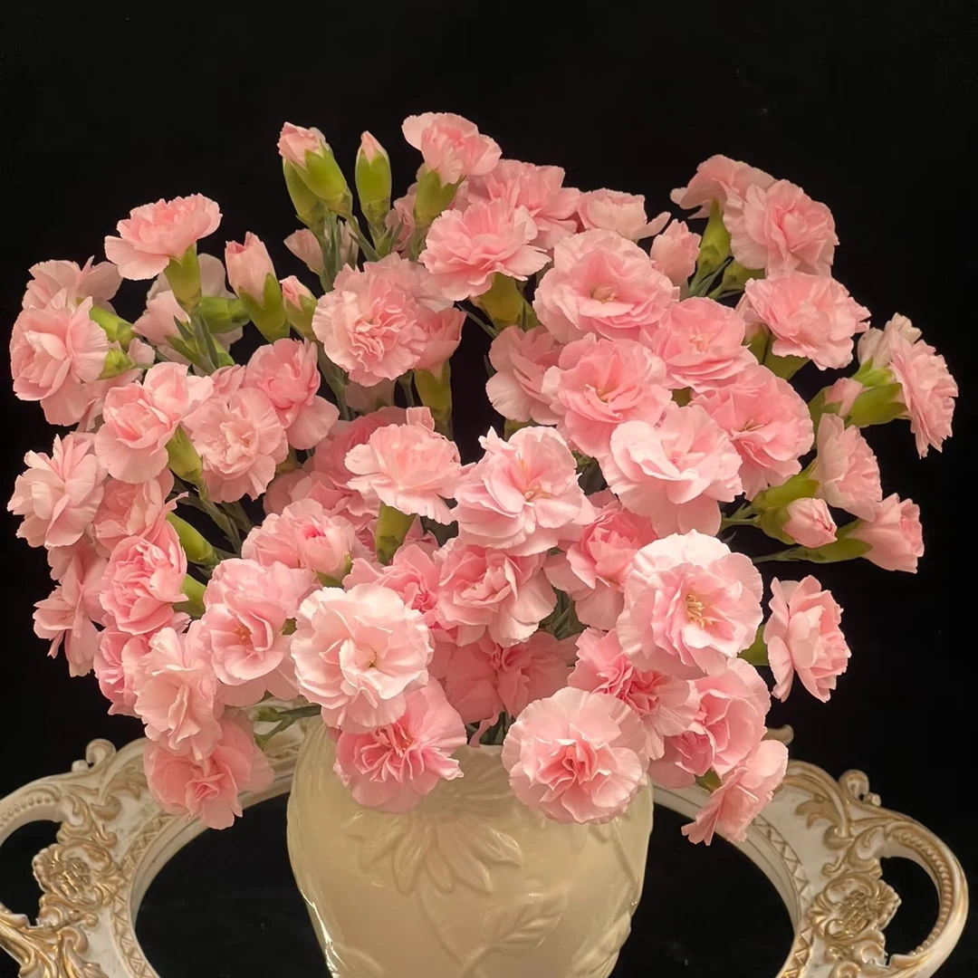 【温柔如你】20支装粉色多头康乃馨瓶插年宵花