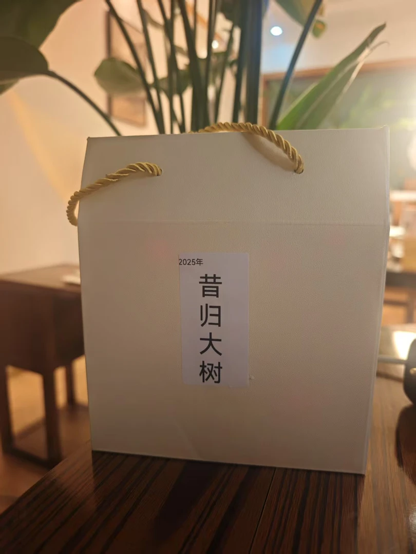 2025年昔归大树散茶 云南普洱茶生茶