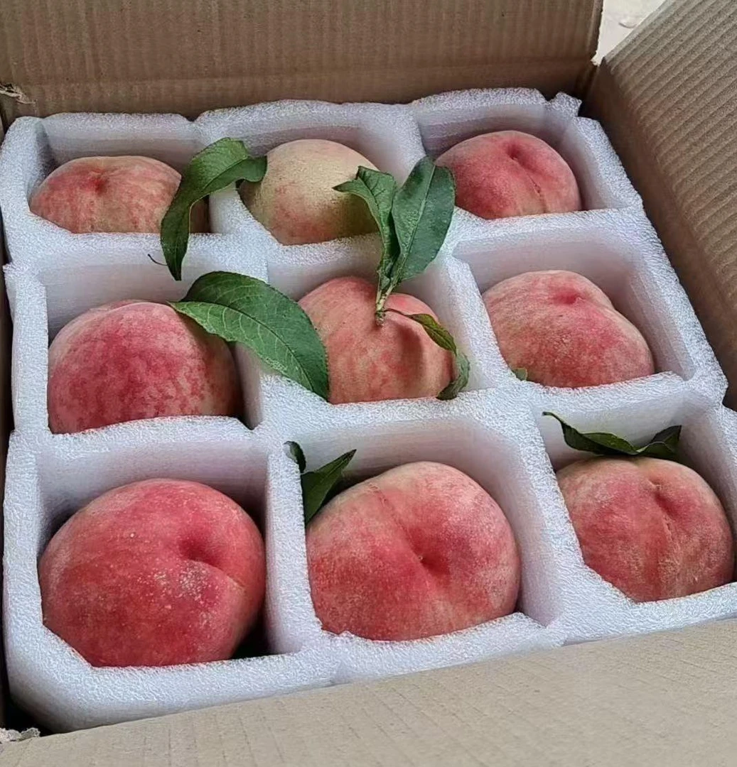 人工授粉大白桃《莎红》，脆甜个大单果半斤，顺丰包邮