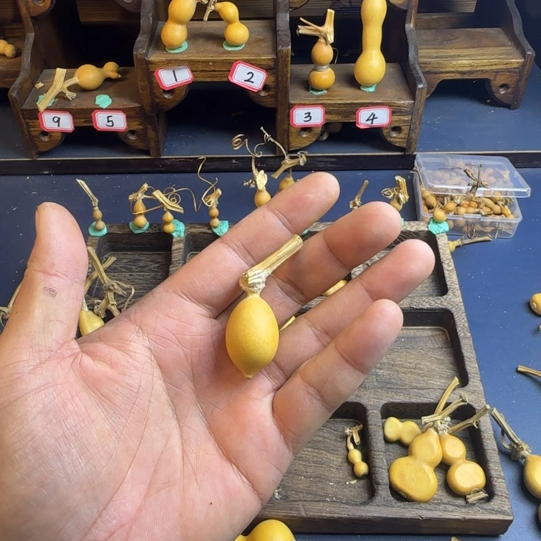 七*吖我是一只小小鸟地域鬼的人都是