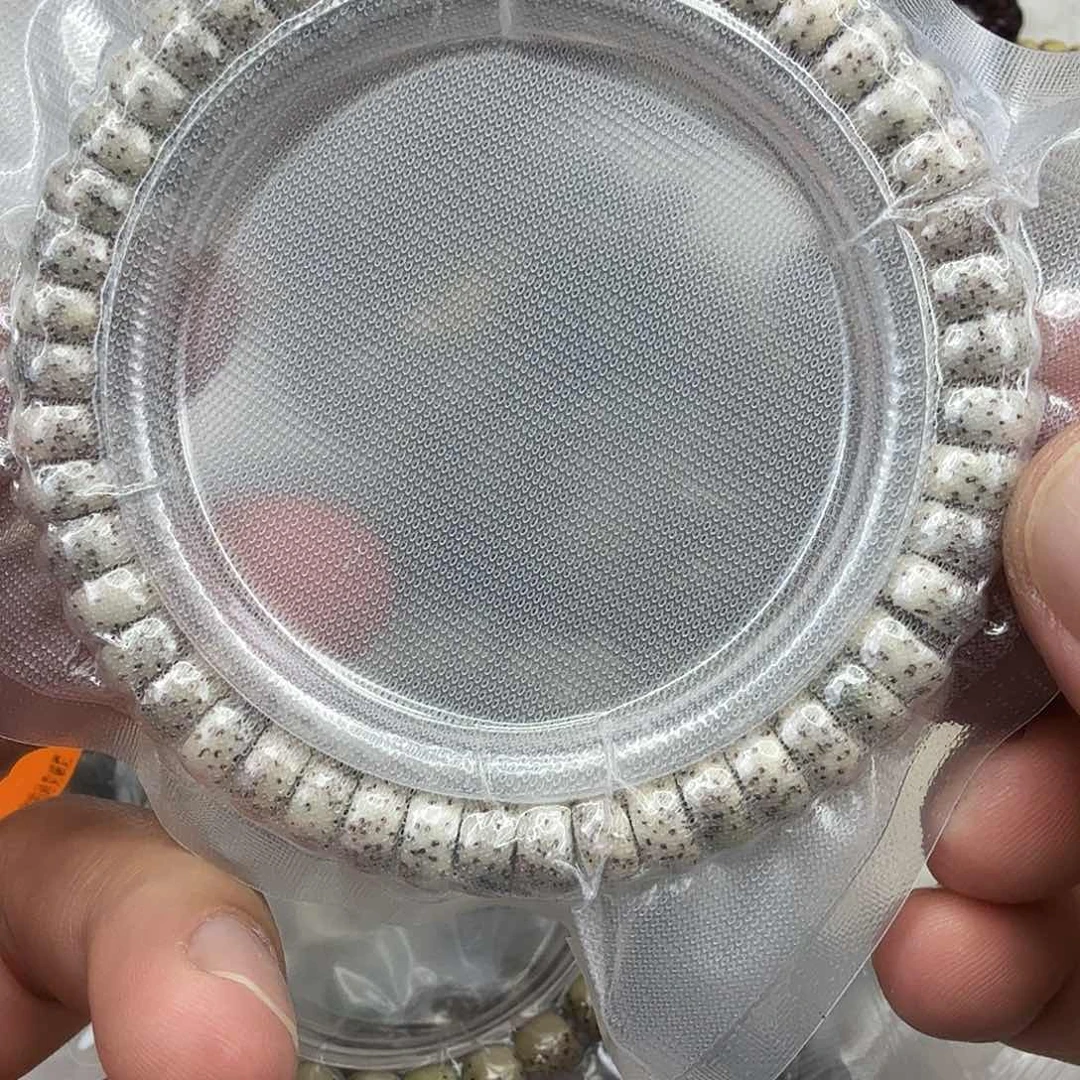 星月菩提手串54传说大眼睛星月菩提单圈0.9片