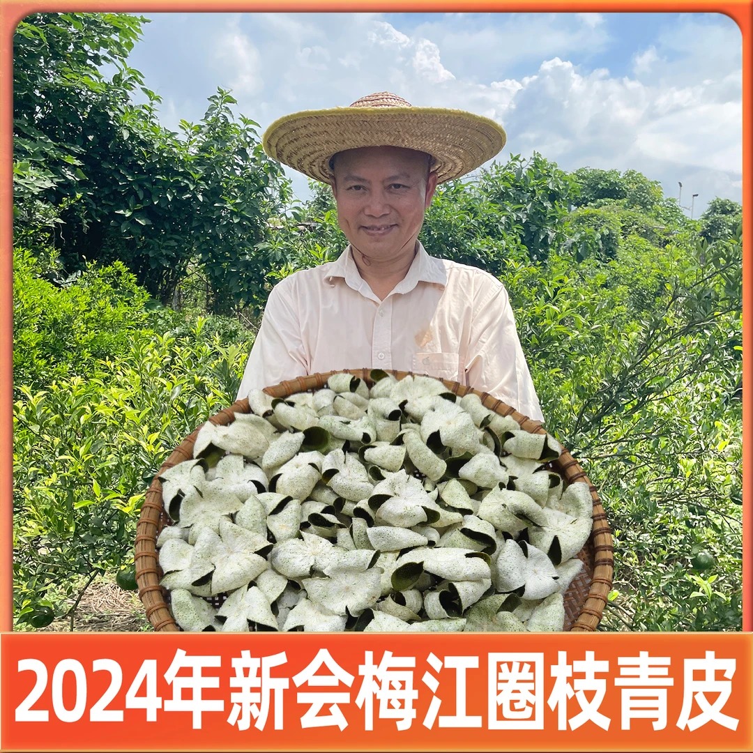 2024年新会梅江圈枝青皮(纯生晒干仓新会茶枝柑皮)