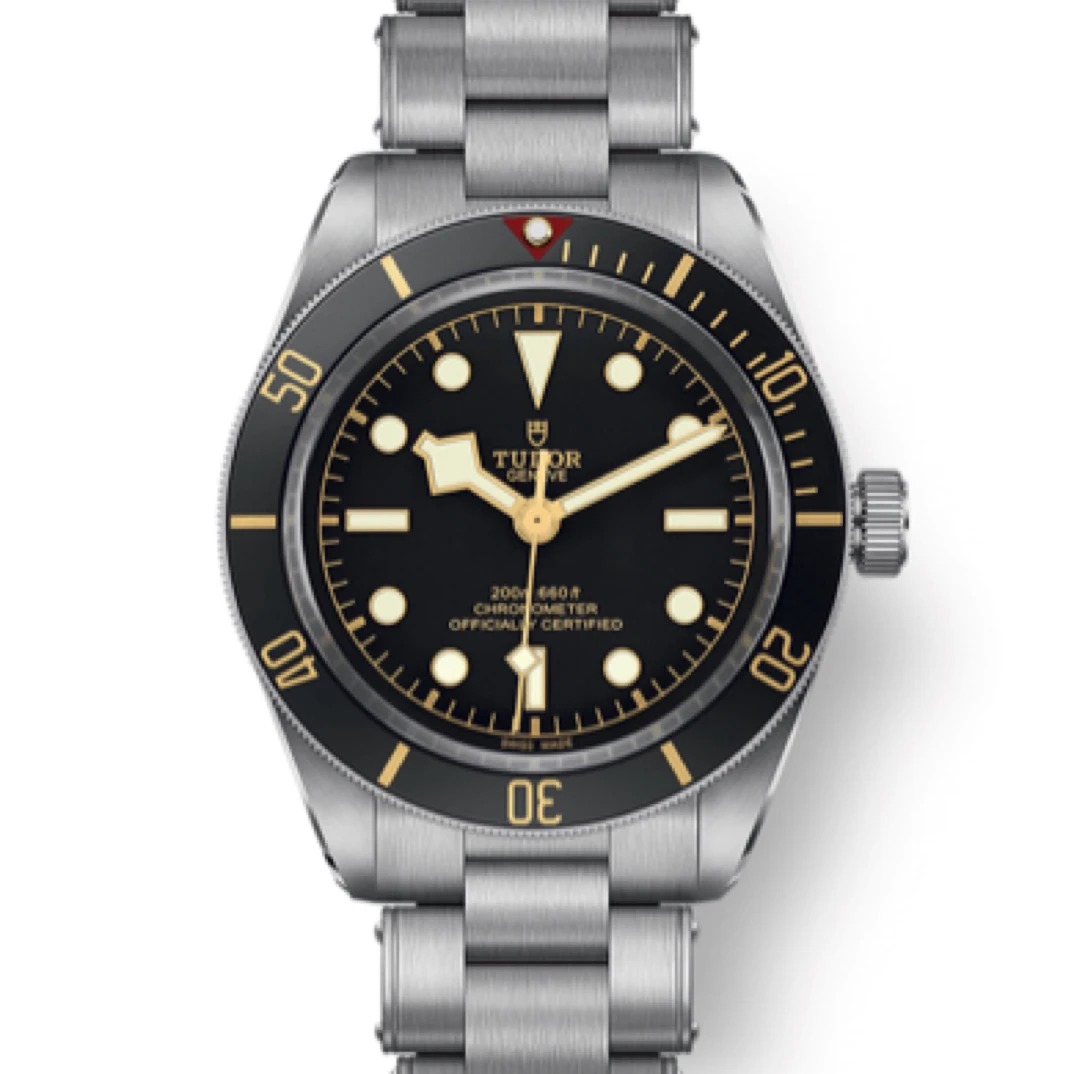 95新 TUDOR/帝舵 碧湾1958型m79030n-0001/39毫米23年全套全长