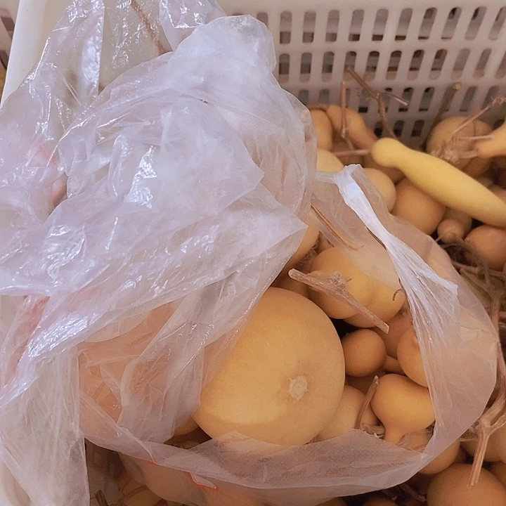 快乐鸭宝子恭喜发财