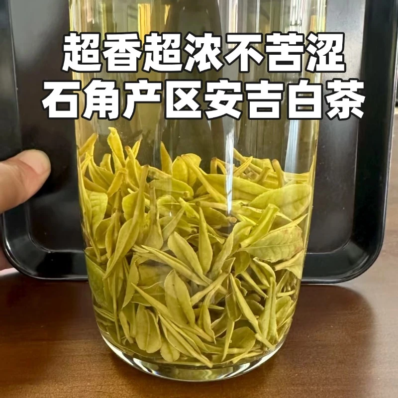 <强力推荐>石角浓香醇厚安吉白茶鲜爽甘甜香气超足回甘超足高山茶