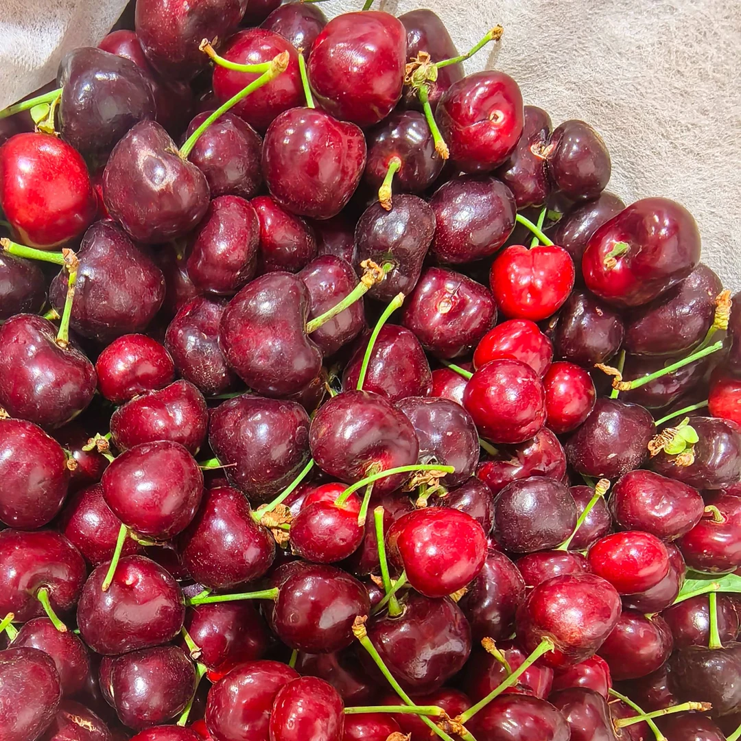 【散装】国产美早樱桃散装1斤2J美早
