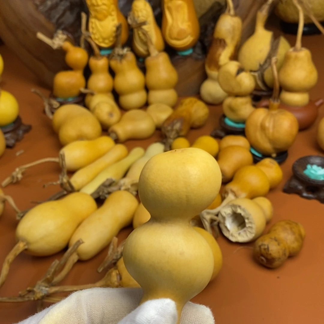 一***情教练咯教练咯教练教练