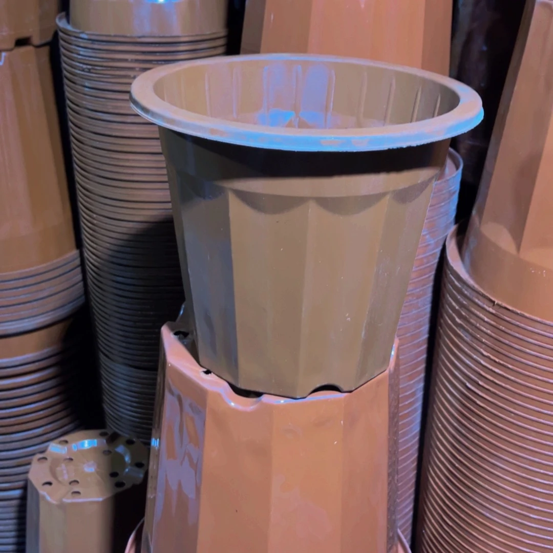 口径22高度20红砖盆20个