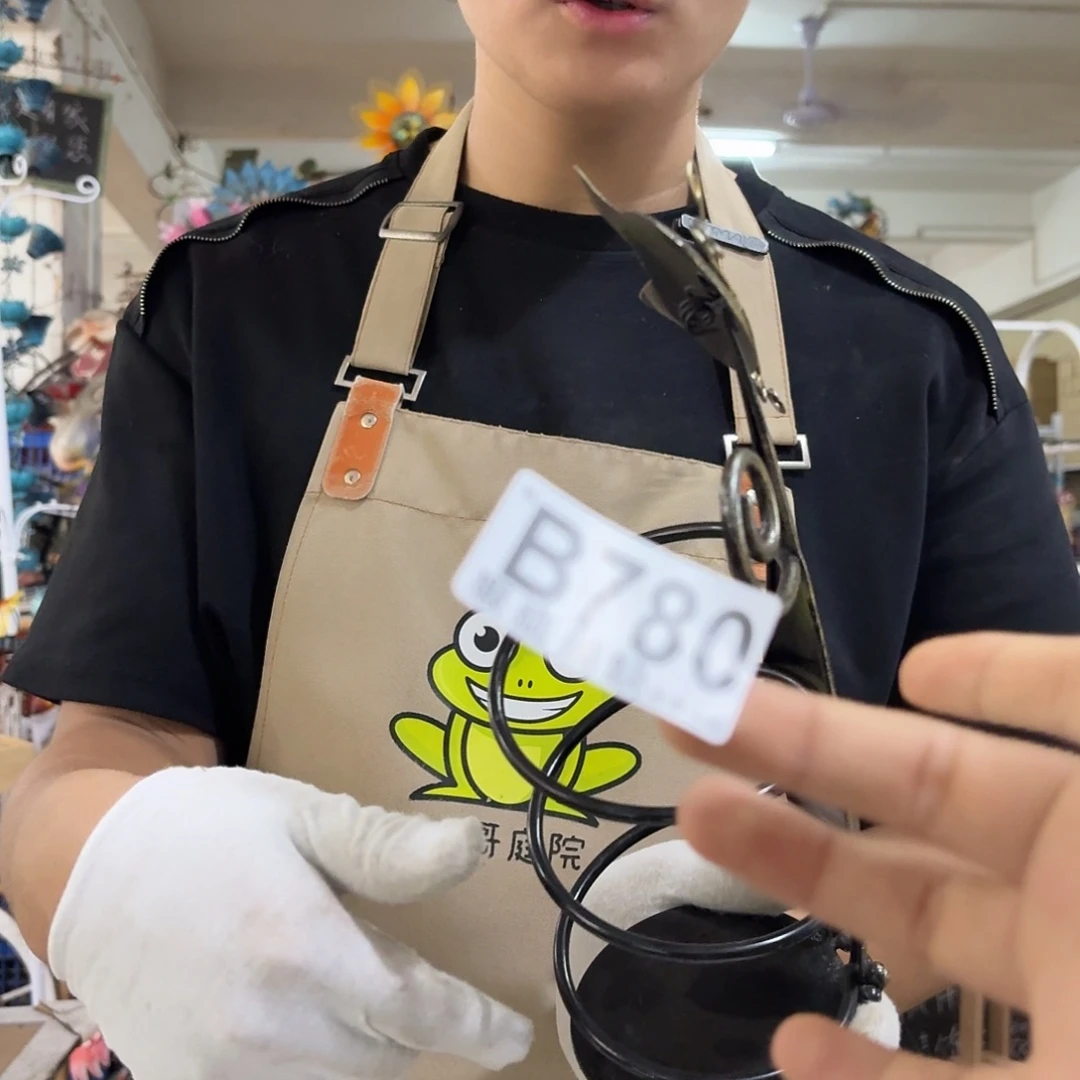 核桃木/黑胡桃（胡桃木）