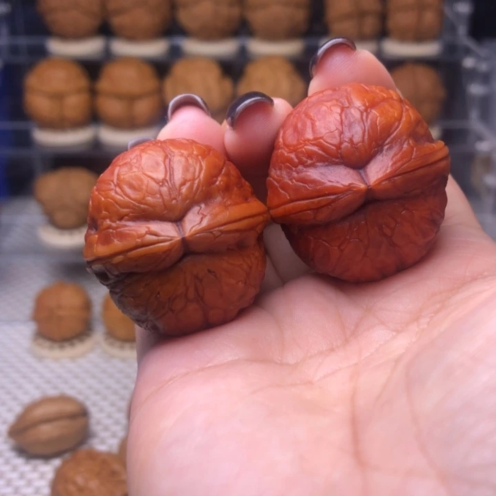 文玩核桃把件38号霸王筋34尺