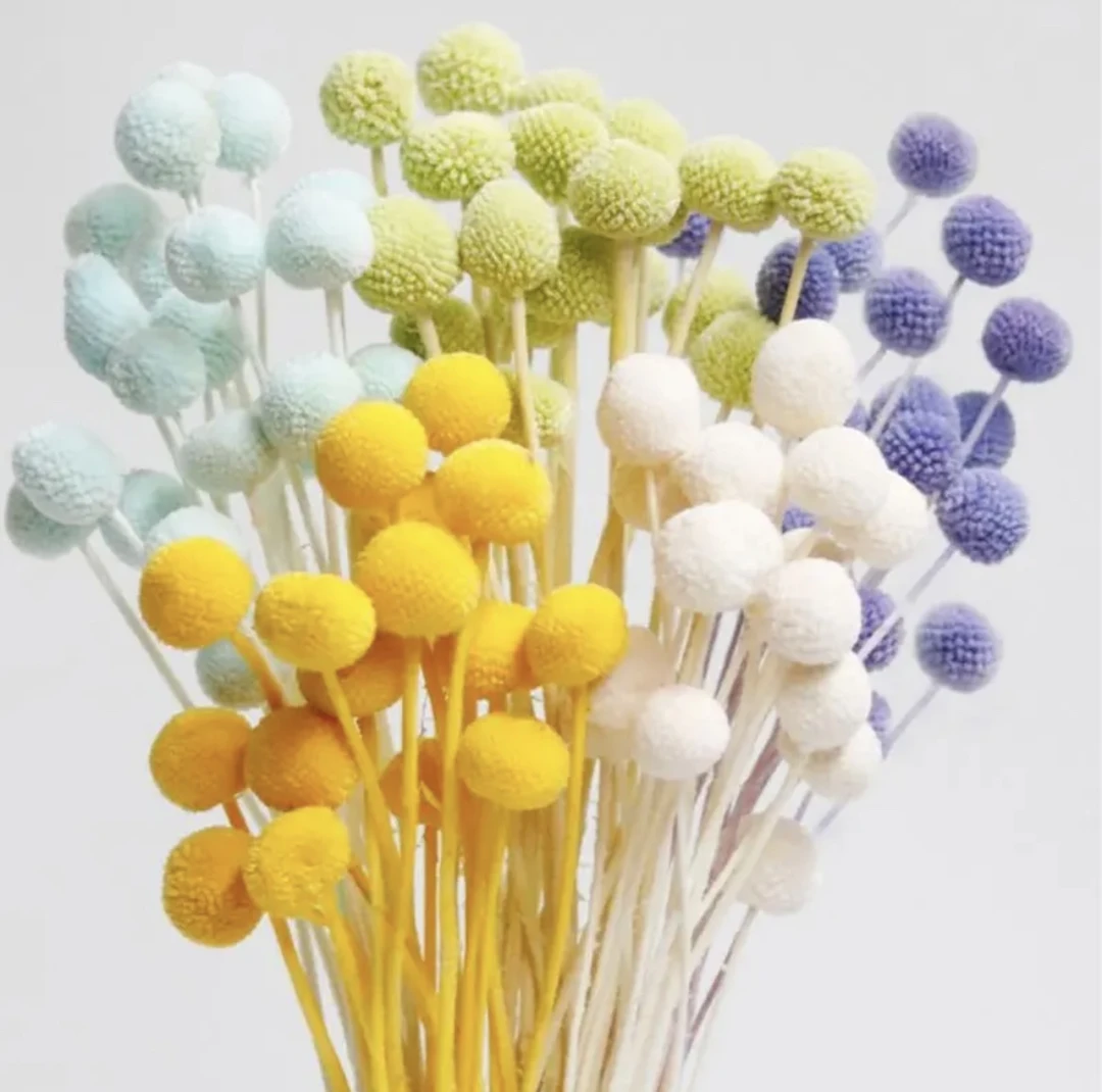 黄金球干花永生花粉色花束插花花果实搭配花材黄金果装饰配花配材