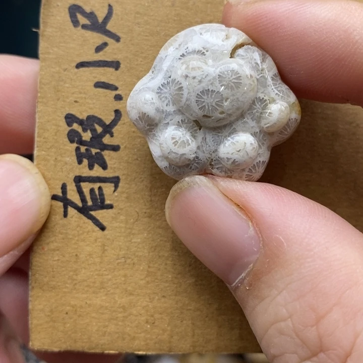 颈饰未镶嵌硅化珊瑚（珊瑚玉）