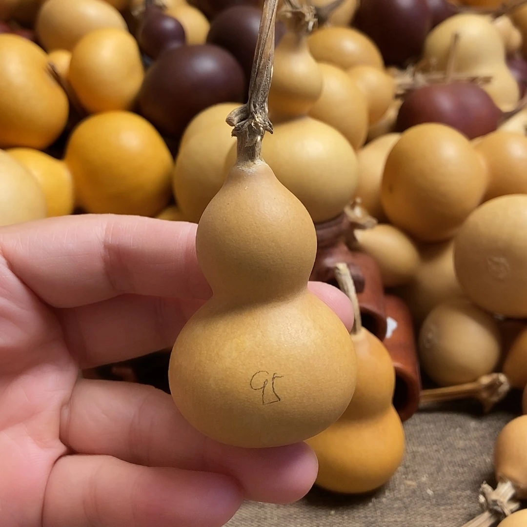 文玩葫芦 完美主义者 慎拍95