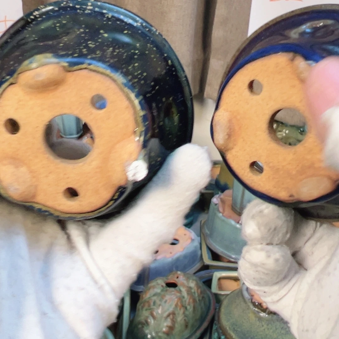 觉象花盆盆觉象花盆盆