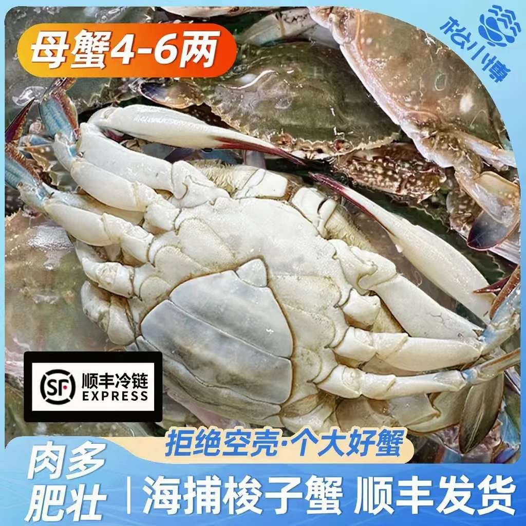 J 舟山母蟹梭子蟹5两左右/只6只3斤左右不可清蒸【冻蟹】