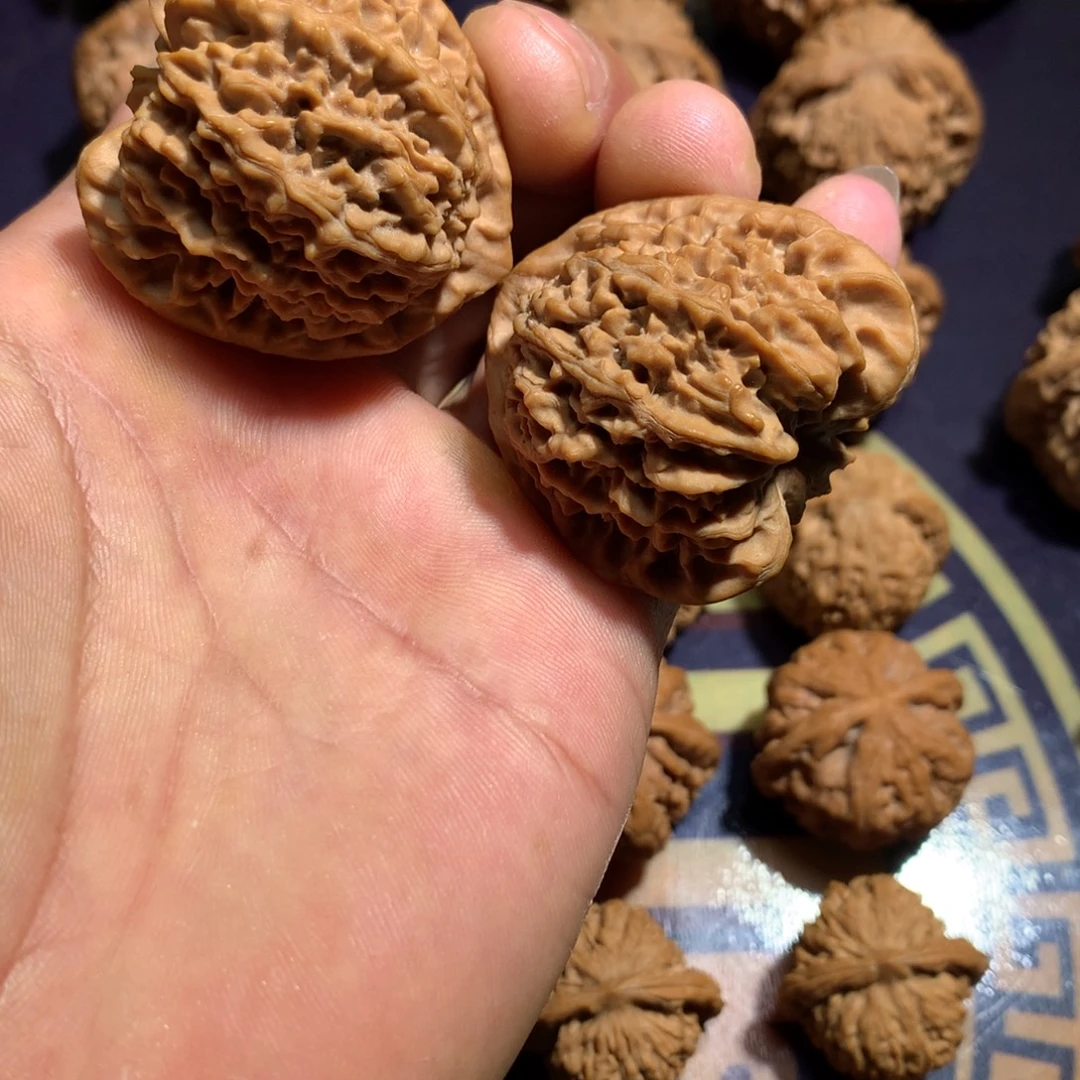 把件文玩核桃珊瑚纹41