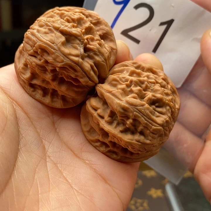 核桃全品43尺921号