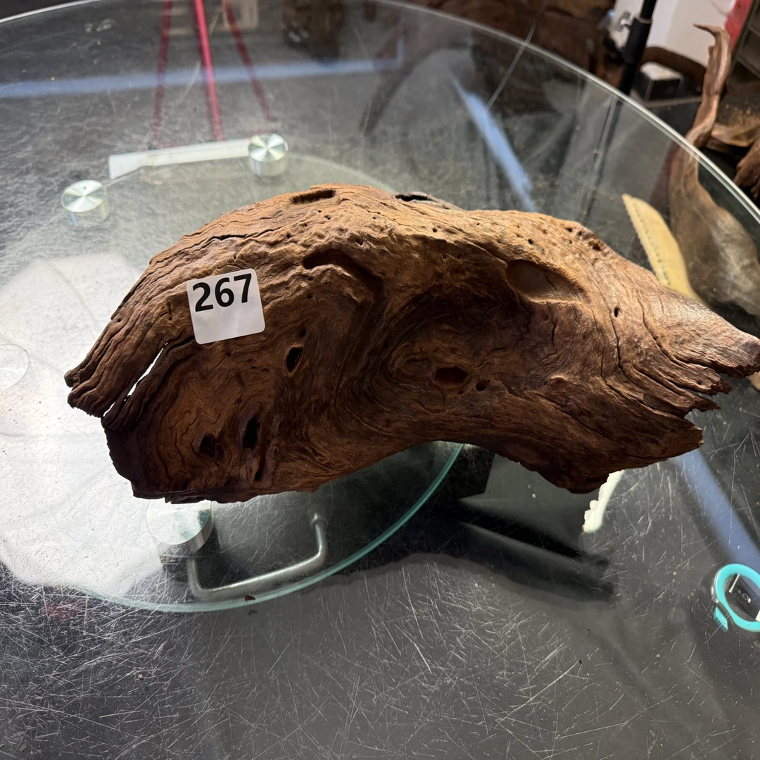 沉木云南紫柚木秒沉267