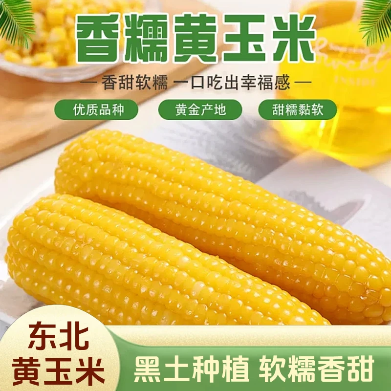 东北香甜黄糯玉米真空透明袋包装10根大棒整箱5斤