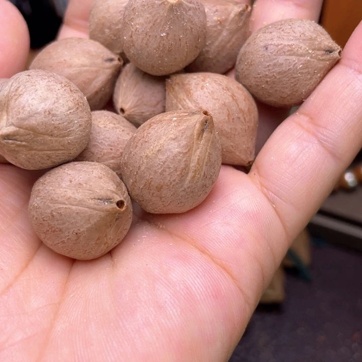 手串/手链橄榄核橄榄核油核1.9左右