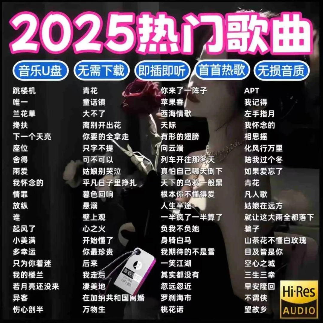 抖音最新热歌车载音乐U盘新歌经典流行歌高音质MP3/4通用无损u盘