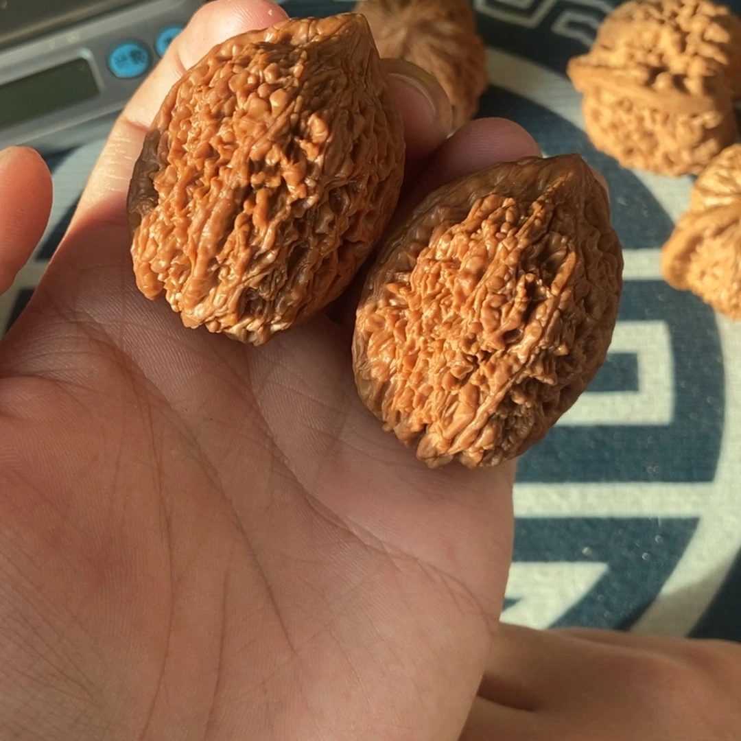 练***题35尺大蒜头顺尖打底