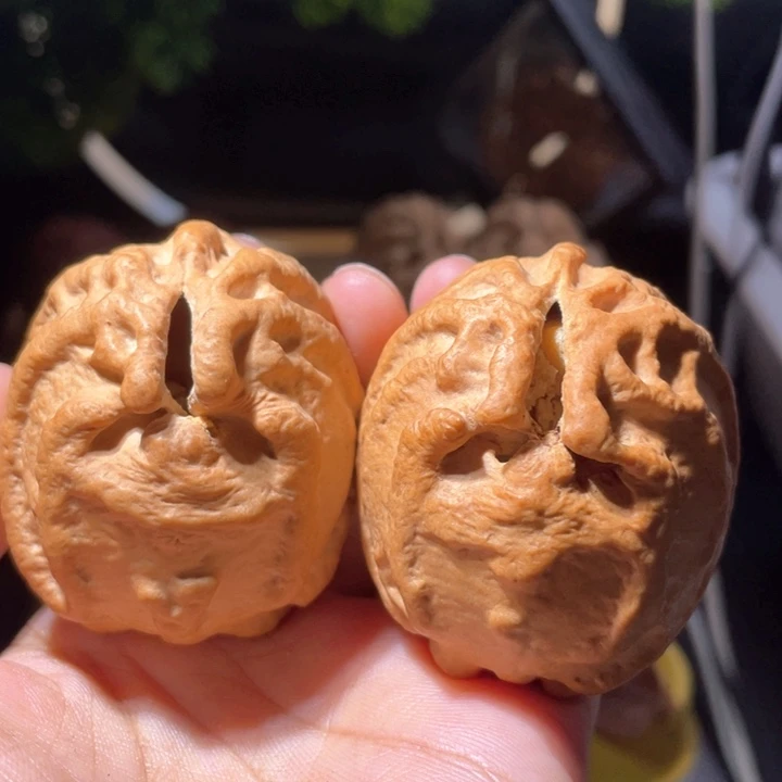 文玩核桃吊坠鬼脸核桃45