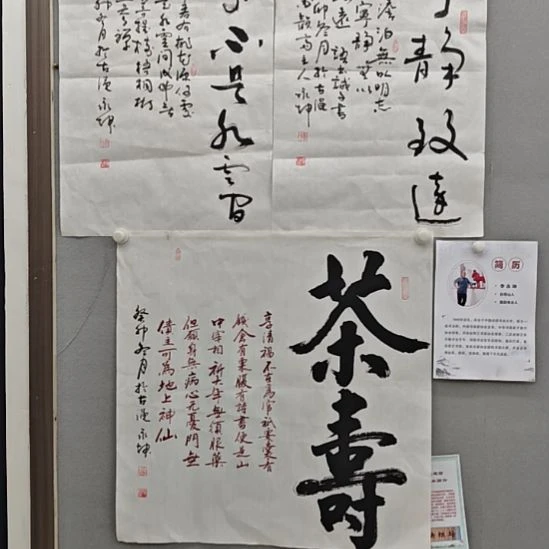 李永坤老师精品书法作品微瑕