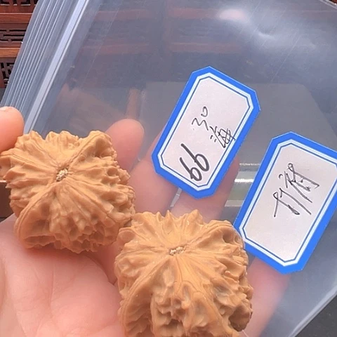 文玩核桃吊坠海****措秦皇岛元宝