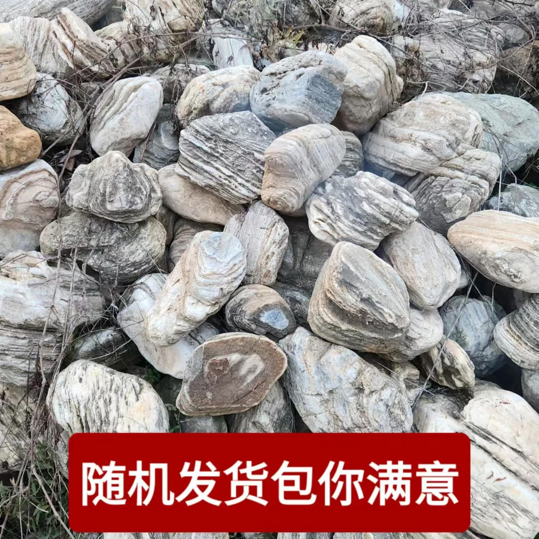 鱼缸造景、桌面摆件、随机发货