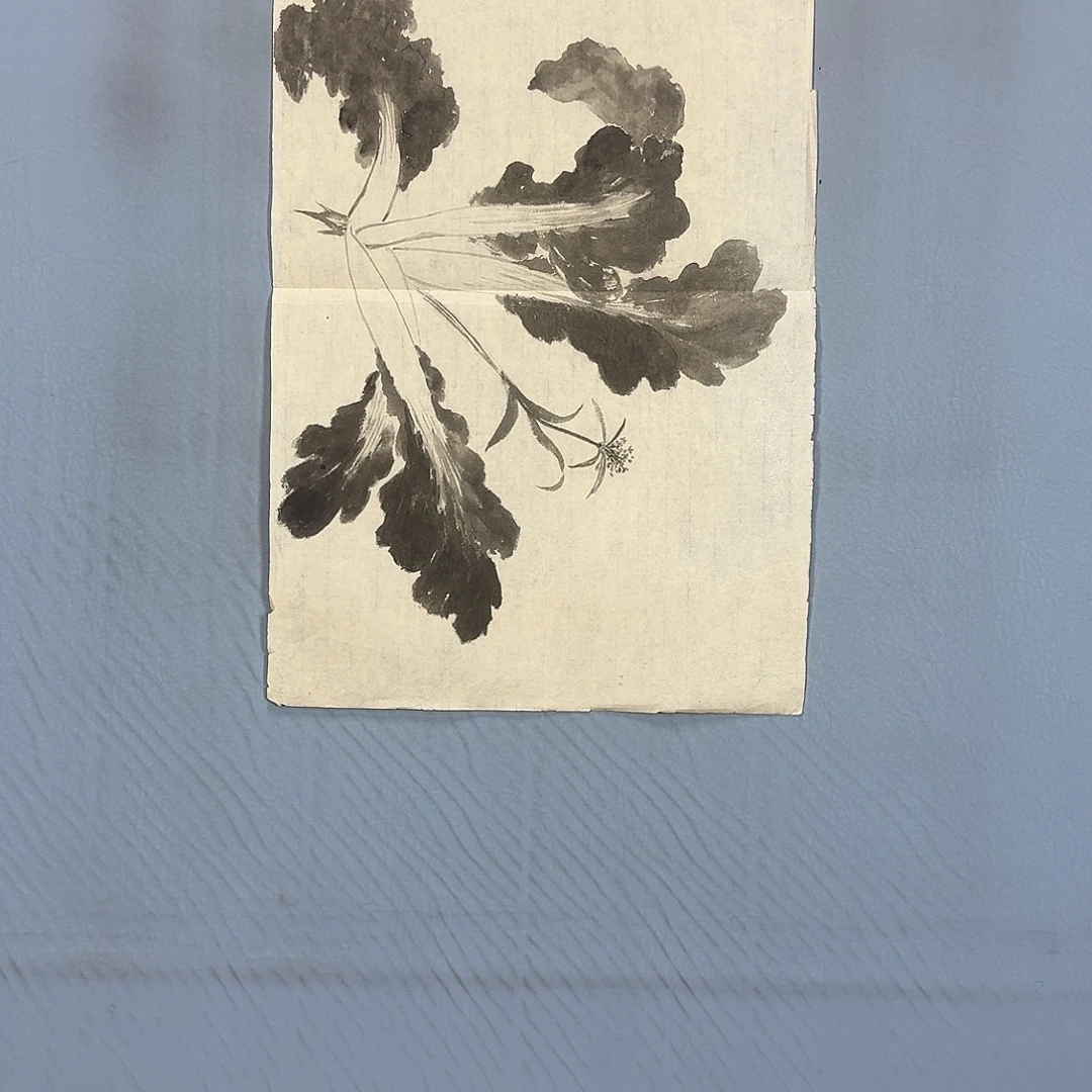 国画65 牡丹一如您