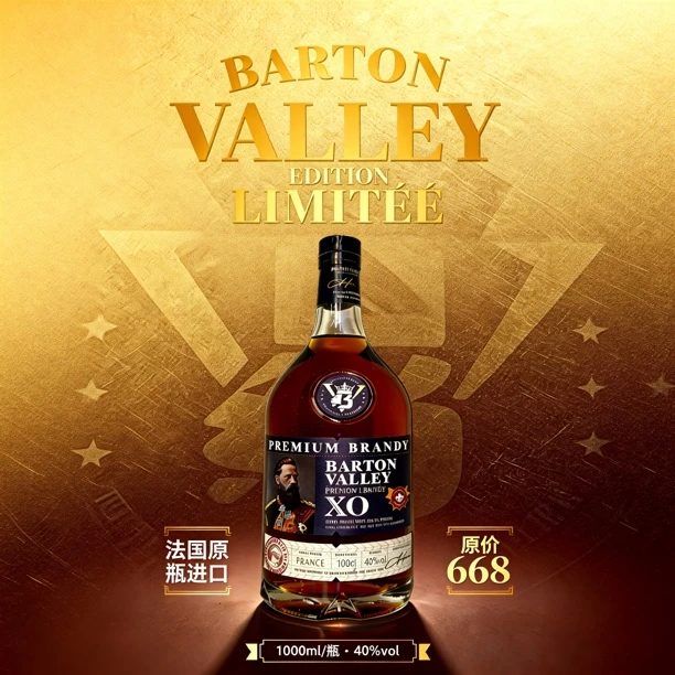法国原瓶进口大香槟区XO适合宴请微醺洋酒推荐xo白兰地进口洋酒