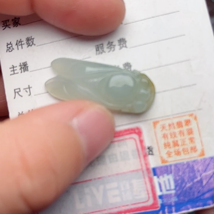 翡翠颈饰未镶嵌知了 一鸣惊人