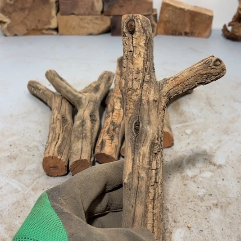 大果紫檀（缅甸花梨）鼎****场