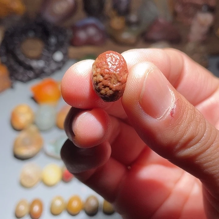 大叶紫檀（黑酸枝木类）