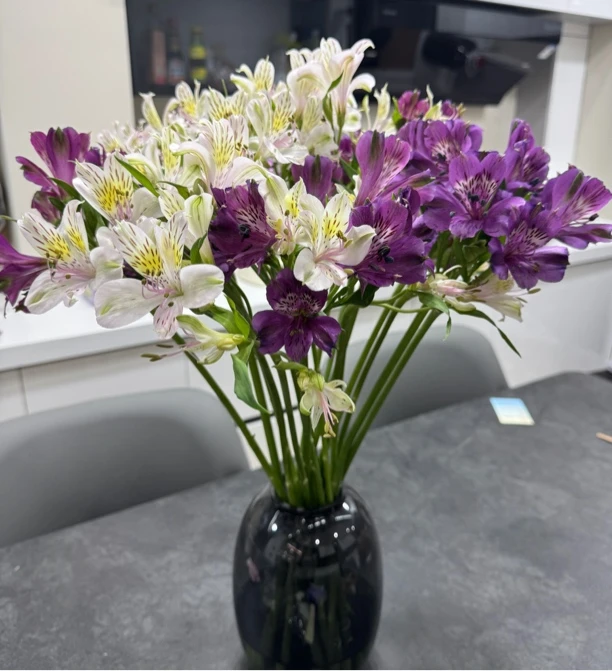 【水仙百合 2单包邮】 水培鲜切花 花期超长待机 京东/顺丰冷链