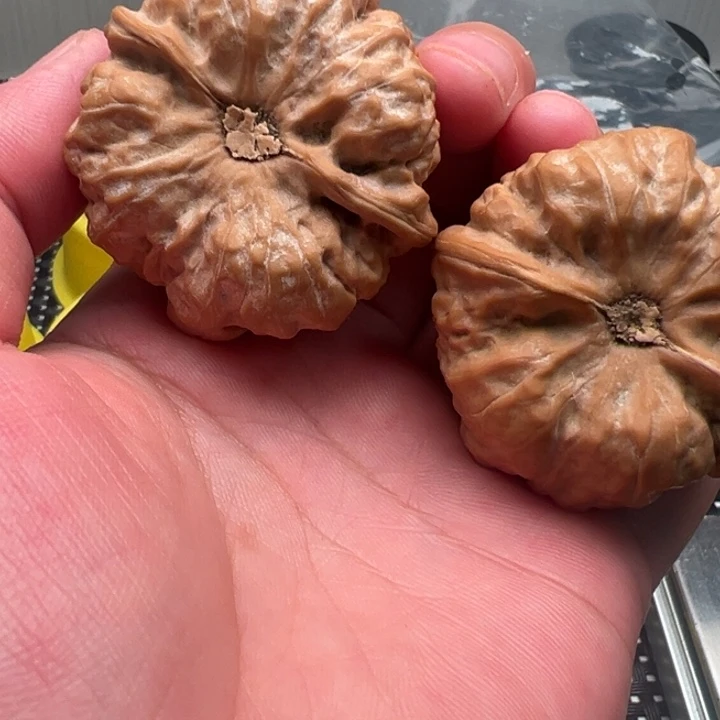 爱***盐文玩核桃把件文玩核桃文玩核桃